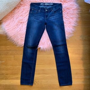 Express Stella Skinny Jeans